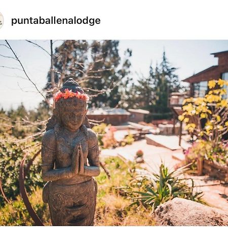 Punta Ballena Lodge Pichilemu Eksteriør bilde