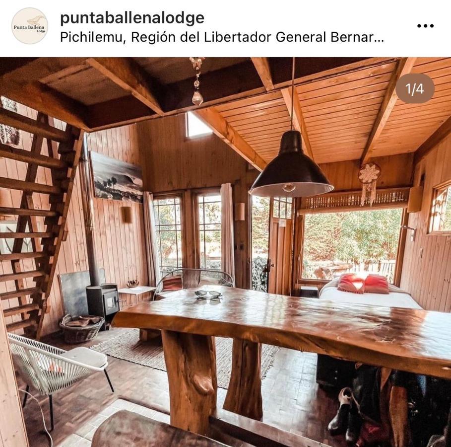 Punta Ballena Lodge Pichilemu Eksteriør bilde