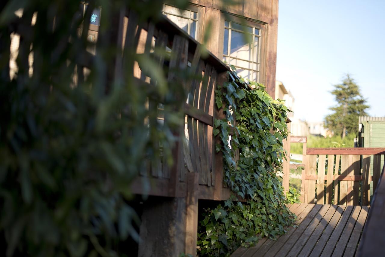 Punta Ballena Lodge Pichilemu Eksteriør bilde