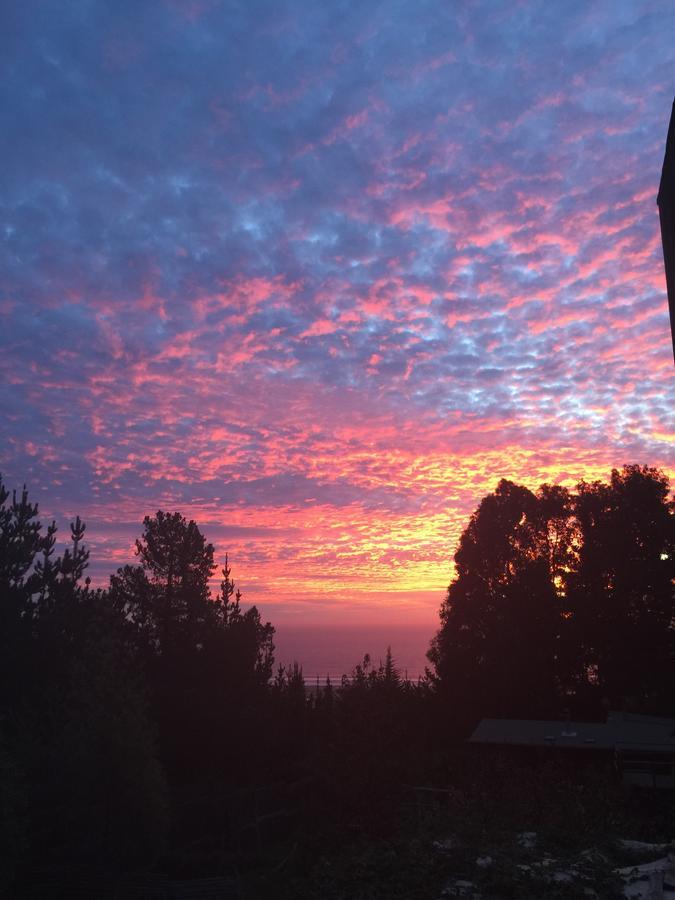 Punta Ballena Lodge Pichilemu Eksteriør bilde